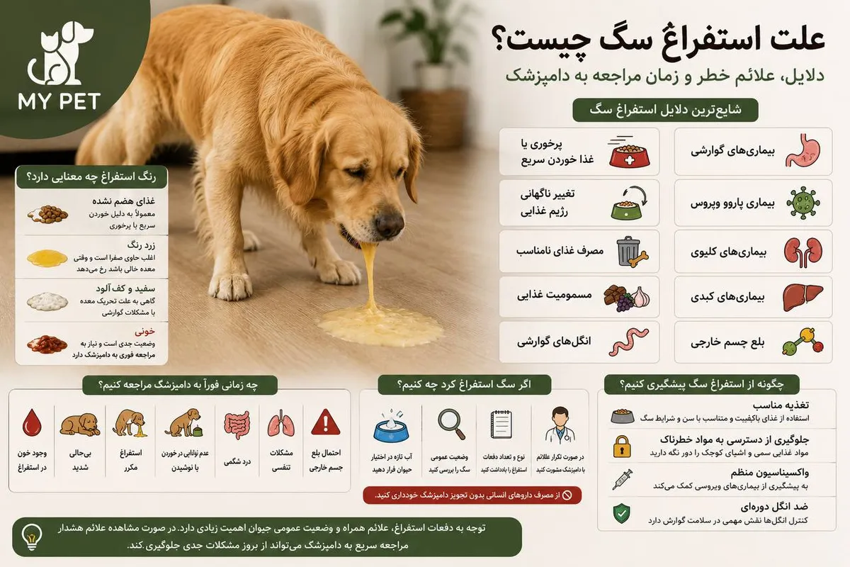 سگی با علائم ناراحتی گوارشی در محیط خانه؛ تصویری آموزشی که به بررسی دلایل استفراغ سگ، نشانه‌های هشداردهنده و اهمیت مراجعه به‌موقع به دامپزشک برای تشخیص و درمان مشکلات احتمالی اشاره دارد. لوگوی MY PET در گوشه تصویر قرار گرفته است.